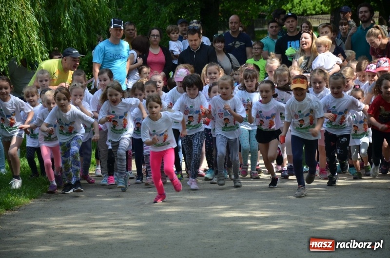 Zdjęcie w galerii na portalu naszraciborz.pl: XIII Raciborski Bieg Profilaktyczny [FOTO i WIDEO] wiadomości z regionu