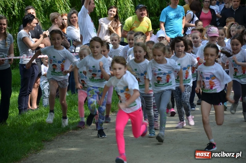 Zdjęcie w galerii na portalu naszraciborz.pl: XIII Raciborski Bieg Profilaktyczny [FOTO i WIDEO] wiadomości z regionu