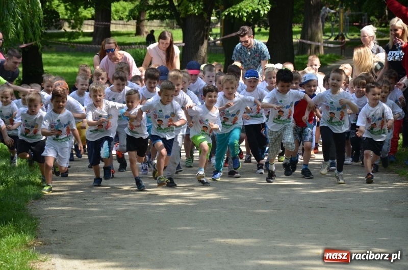 Zdjęcie w galerii na portalu naszraciborz.pl: XIII Raciborski Bieg Profilaktyczny [FOTO i WIDEO] wiadomości z regionu