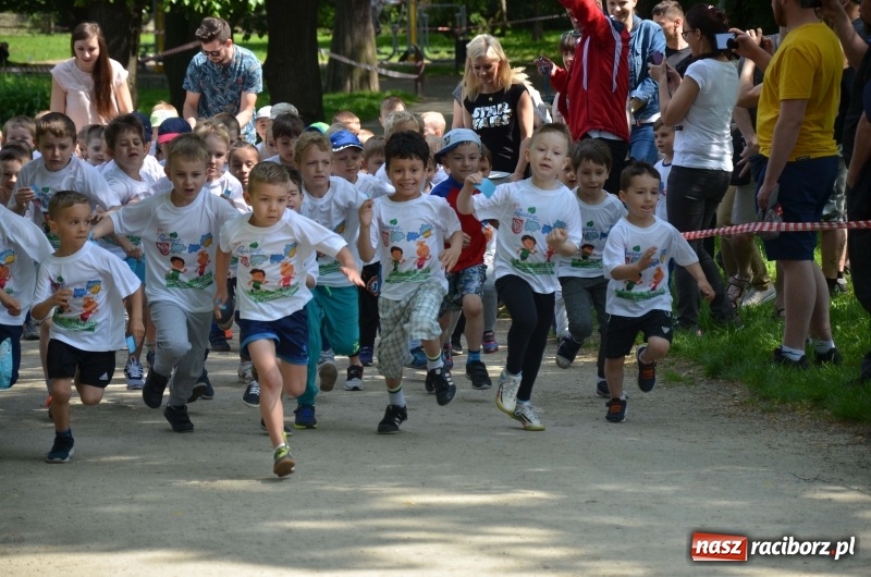 Zdjęcie w galerii na portalu naszraciborz.pl: XIII Raciborski Bieg Profilaktyczny [FOTO i WIDEO] wiadomości z regionu
