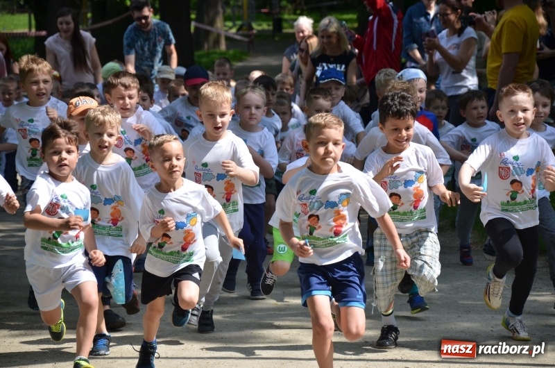 Zdjęcie w galerii na portalu naszraciborz.pl: XIII Raciborski Bieg Profilaktyczny [FOTO i WIDEO] wiadomości z regionu