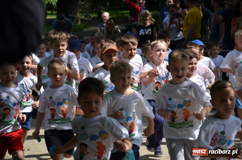 Zdjęcie w galerii na portalu naszraciborz.pl: XIII Raciborski Bieg Profilaktyczny [FOTO i WIDEO] wiadomości z regionu