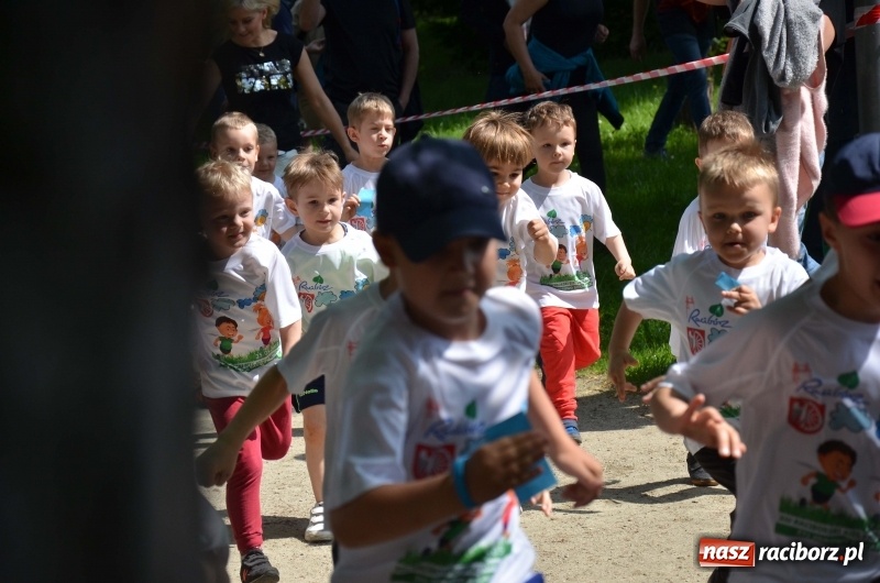 Zdjęcie w galerii na portalu naszraciborz.pl: XIII Raciborski Bieg Profilaktyczny [FOTO i WIDEO] wiadomości z regionu