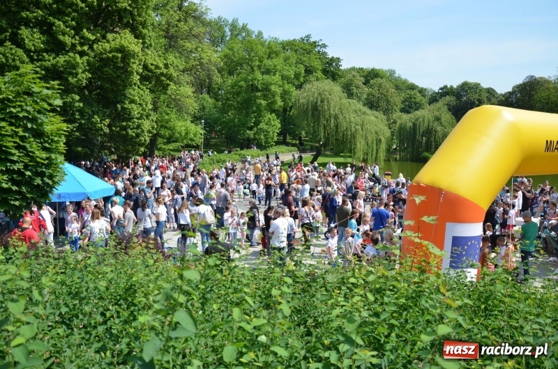 Zdjęcie w galerii na portalu naszraciborz.pl: XIII Raciborski Bieg Profilaktyczny [FOTO i WIDEO] wiadomości z regionu
