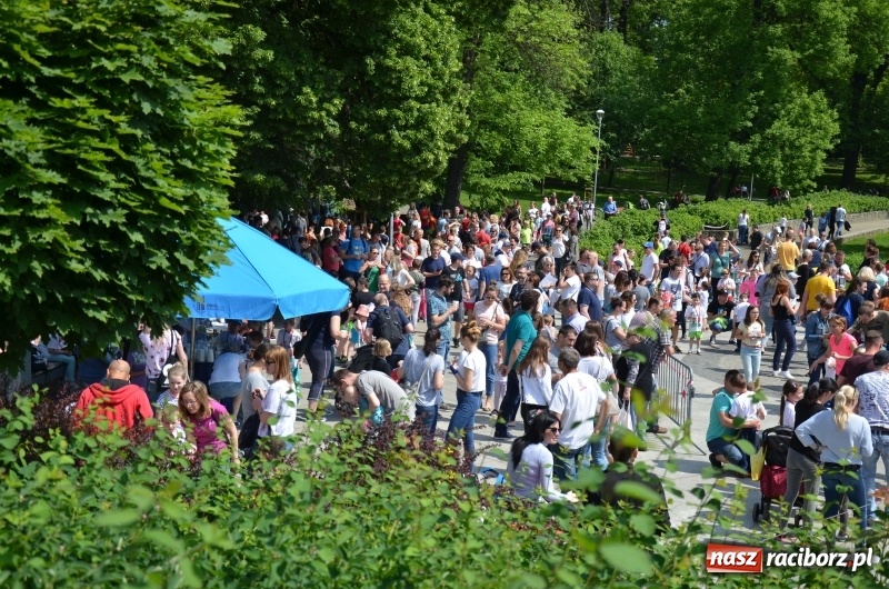 Zdjęcie w galerii na portalu naszraciborz.pl: XIII Raciborski Bieg Profilaktyczny [FOTO i WIDEO] wiadomości z regionu