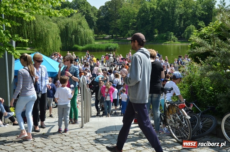 Zdjęcie w galerii na portalu naszraciborz.pl: XIII Raciborski Bieg Profilaktyczny [FOTO i WIDEO] wiadomości z regionu
