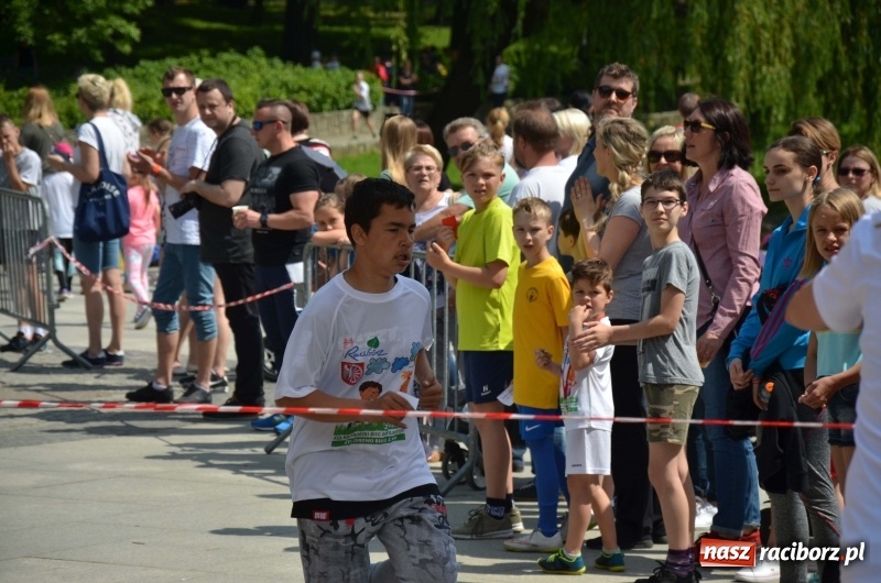 Zdjęcie w galerii na portalu naszraciborz.pl: XIII Raciborski Bieg Profilaktyczny [FOTO i WIDEO] wiadomości z regionu