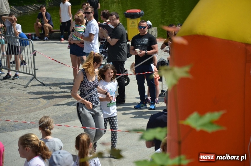 Zdjęcie w galerii na portalu naszraciborz.pl: XIII Raciborski Bieg Profilaktyczny [FOTO i WIDEO] wiadomości z regionu