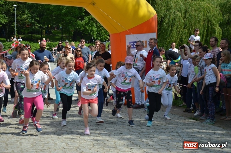 Zdjęcie w galerii na portalu naszraciborz.pl: XIII Raciborski Bieg Profilaktyczny [FOTO i WIDEO] wiadomości z regionu