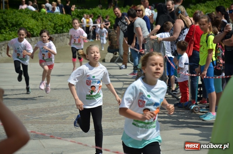 Zdjęcie w galerii na portalu naszraciborz.pl: XIII Raciborski Bieg Profilaktyczny [FOTO i WIDEO] wiadomości z regionu