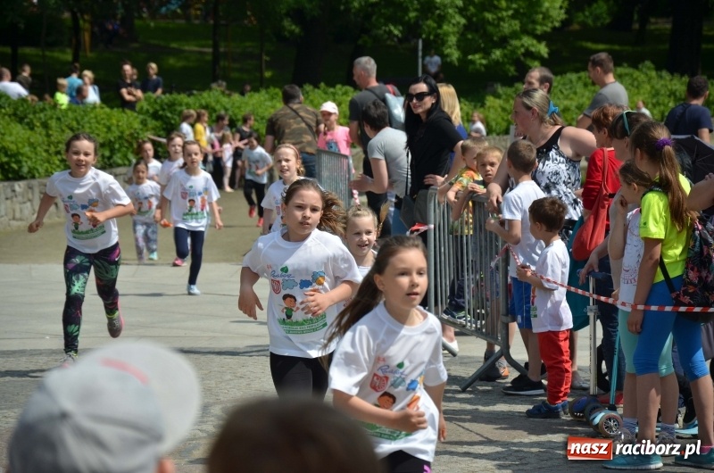 Zdjęcie w galerii na portalu naszraciborz.pl: XIII Raciborski Bieg Profilaktyczny [FOTO i WIDEO] wiadomości z regionu