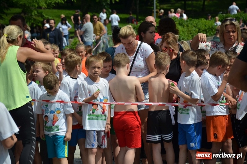Zdjęcie w galerii na portalu naszraciborz.pl: XIII Raciborski Bieg Profilaktyczny [FOTO i WIDEO] wiadomości z regionu