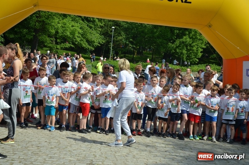 Zdjęcie w galerii na portalu naszraciborz.pl: XIII Raciborski Bieg Profilaktyczny [FOTO i WIDEO] wiadomości z regionu