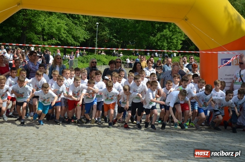 Zdjęcie w galerii na portalu naszraciborz.pl: XIII Raciborski Bieg Profilaktyczny [FOTO i WIDEO] wiadomości z regionu