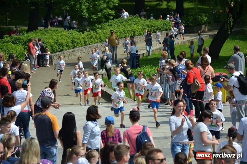 Zdjęcie w galerii na portalu naszraciborz.pl: XIII Raciborski Bieg Profilaktyczny [FOTO i WIDEO] wiadomości z regionu