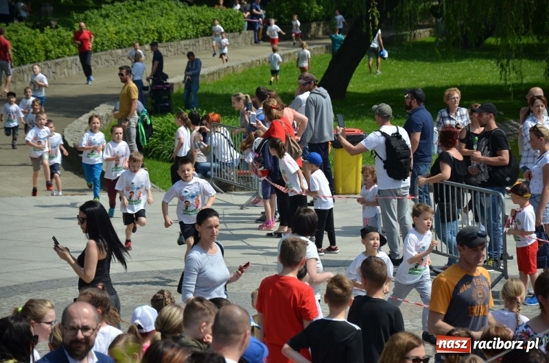 Zdjęcie w galerii na portalu naszraciborz.pl: XIII Raciborski Bieg Profilaktyczny [FOTO i WIDEO] wiadomości z regionu