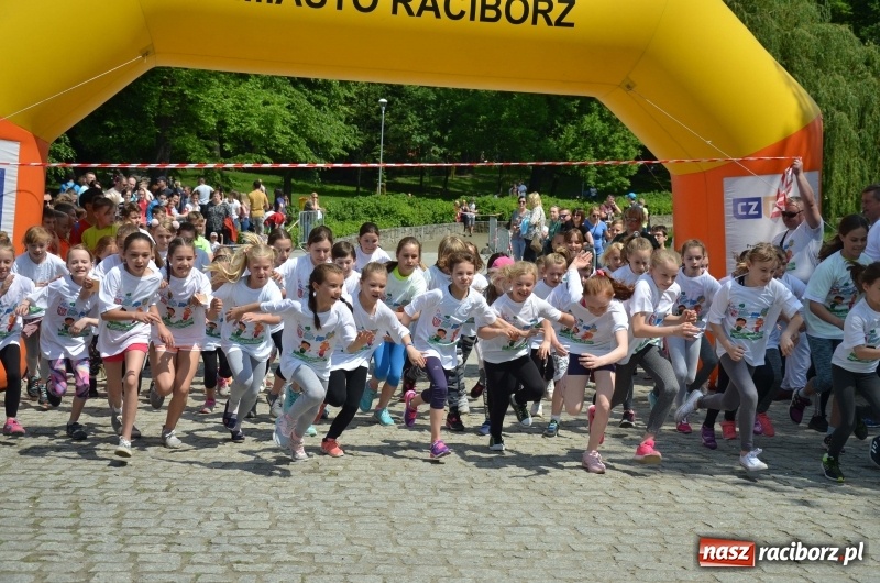 Zdjęcie w galerii na portalu naszraciborz.pl: XIII Raciborski Bieg Profilaktyczny [FOTO i WIDEO] wiadomości z regionu