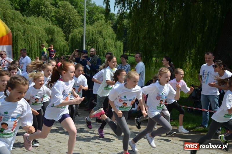 Zdjęcie w galerii na portalu naszraciborz.pl: XIII Raciborski Bieg Profilaktyczny [FOTO i WIDEO] wiadomości z regionu