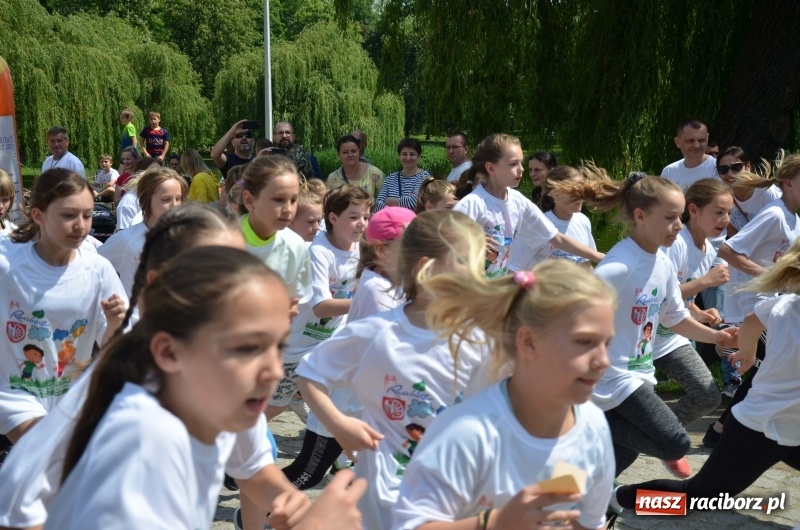 Zdjęcie w galerii na portalu naszraciborz.pl: XIII Raciborski Bieg Profilaktyczny [FOTO i WIDEO] wiadomości z regionu
