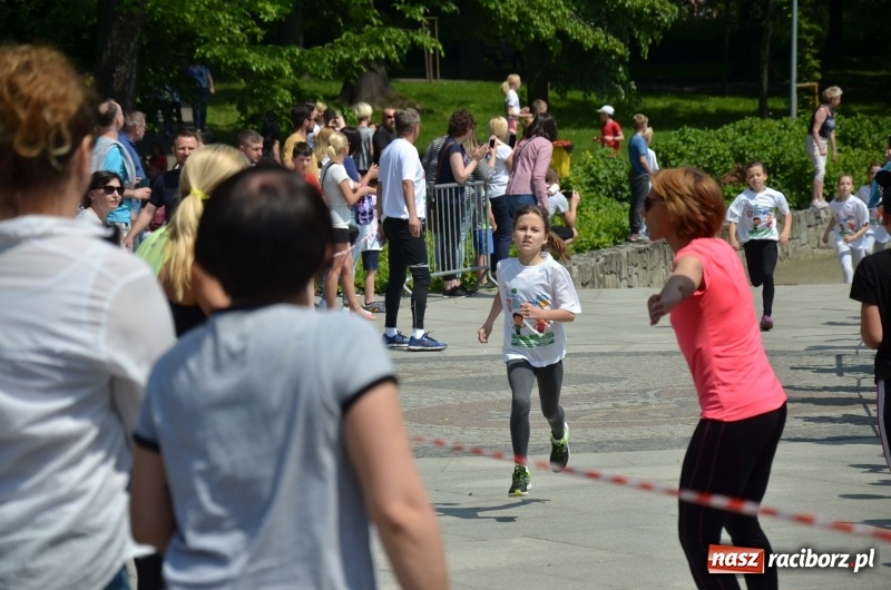 Zdjęcie w galerii na portalu naszraciborz.pl: XIII Raciborski Bieg Profilaktyczny [FOTO i WIDEO] wiadomości z regionu