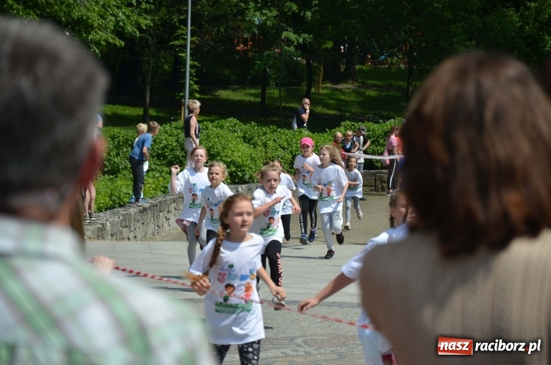 Zdjęcie w galerii na portalu naszraciborz.pl: XIII Raciborski Bieg Profilaktyczny [FOTO i WIDEO] wiadomości z regionu