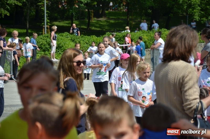Zdjęcie w galerii na portalu naszraciborz.pl: XIII Raciborski Bieg Profilaktyczny [FOTO i WIDEO] wiadomości z regionu