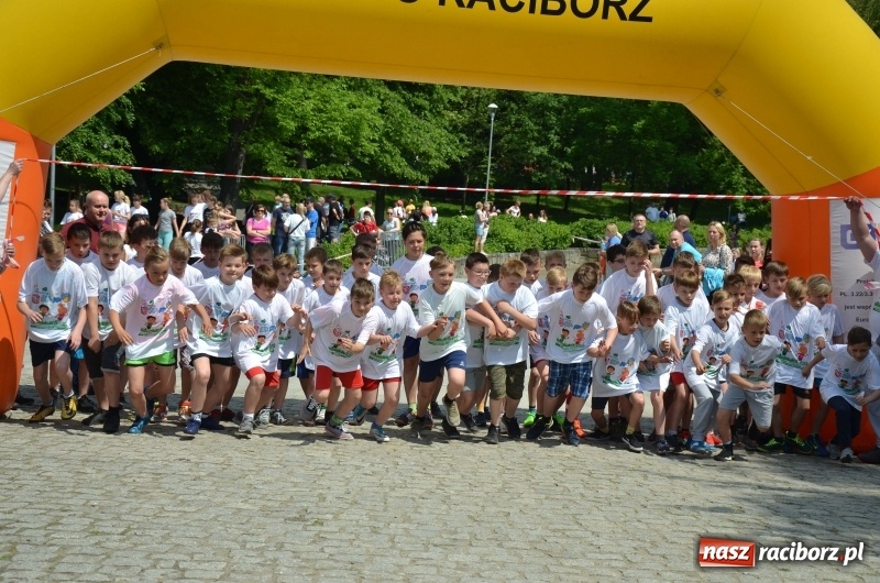 Zdjęcie w galerii na portalu naszraciborz.pl: XIII Raciborski Bieg Profilaktyczny [FOTO i WIDEO] wiadomości z regionu