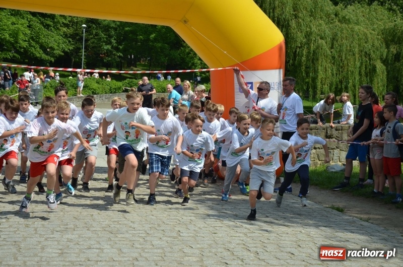 Zdjęcie w galerii na portalu naszraciborz.pl: XIII Raciborski Bieg Profilaktyczny [FOTO i WIDEO] wiadomości z regionu