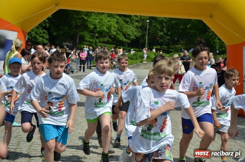 Zdjęcie w galerii na portalu naszraciborz.pl: XIII Raciborski Bieg Profilaktyczny [FOTO i WIDEO] wiadomości z regionu