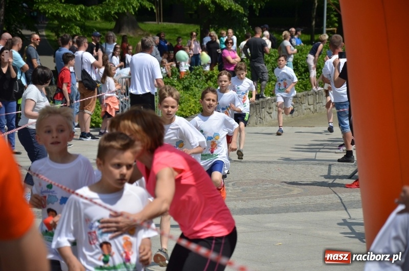 Zdjęcie w galerii na portalu naszraciborz.pl: XIII Raciborski Bieg Profilaktyczny [FOTO i WIDEO] wiadomości z regionu