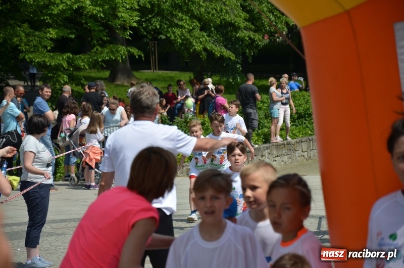 Zdjęcie w galerii na portalu naszraciborz.pl: XIII Raciborski Bieg Profilaktyczny [FOTO i WIDEO] wiadomości z regionu