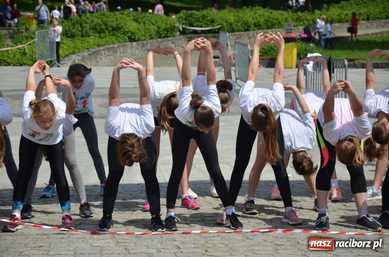 Zdjęcie w galerii na portalu naszraciborz.pl: XIII Raciborski Bieg Profilaktyczny [FOTO i WIDEO] wiadomości z regionu