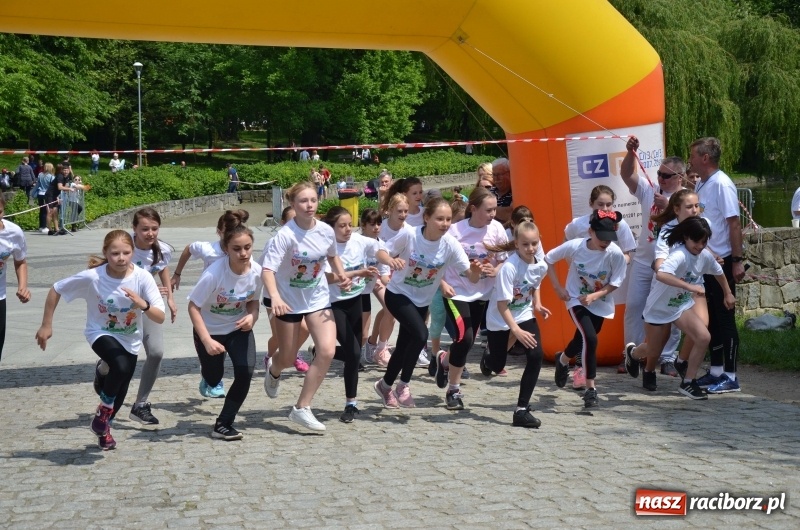 Zdjęcie w galerii na portalu naszraciborz.pl: XIII Raciborski Bieg Profilaktyczny [FOTO i WIDEO] wiadomości z regionu