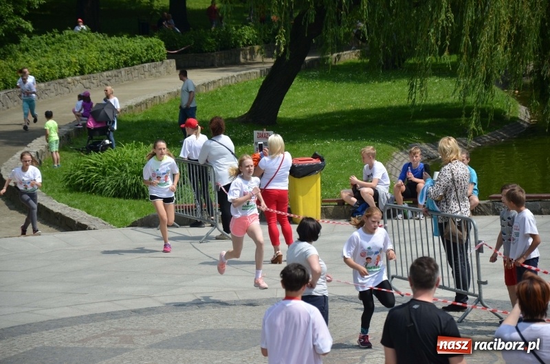 Zdjęcie w galerii na portalu naszraciborz.pl: XIII Raciborski Bieg Profilaktyczny [FOTO i WIDEO] wiadomości z regionu