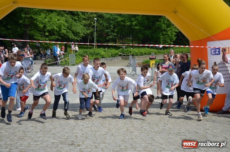 Zdjęcie w galerii na portalu naszraciborz.pl: XIII Raciborski Bieg Profilaktyczny [FOTO i WIDEO] wiadomości z regionu