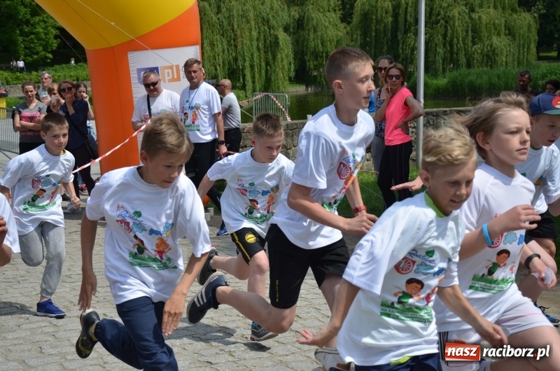 Zdjęcie w galerii na portalu naszraciborz.pl: XIII Raciborski Bieg Profilaktyczny [FOTO i WIDEO] wiadomości z regionu