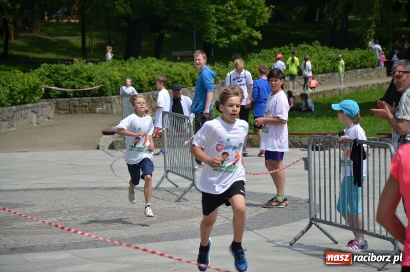 Zdjęcie w galerii na portalu naszraciborz.pl: XIII Raciborski Bieg Profilaktyczny [FOTO i WIDEO] wiadomości z regionu