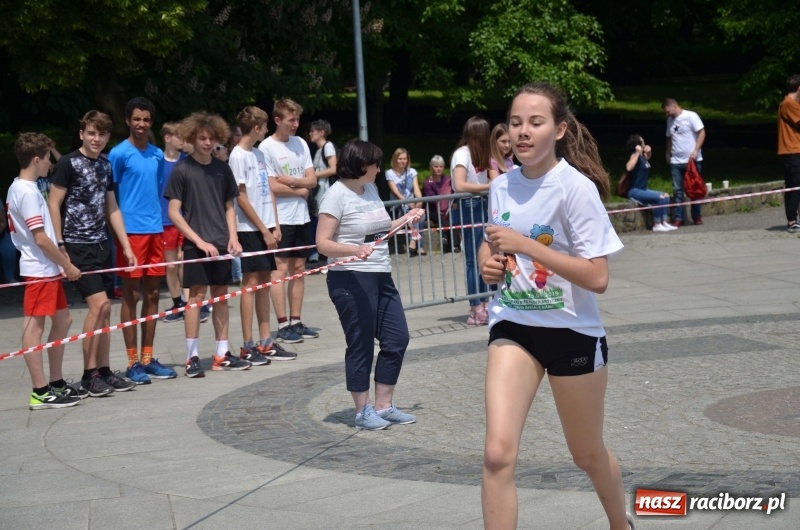 Zdjęcie w galerii na portalu naszraciborz.pl: XIII Raciborski Bieg Profilaktyczny [FOTO i WIDEO] wiadomości z regionu