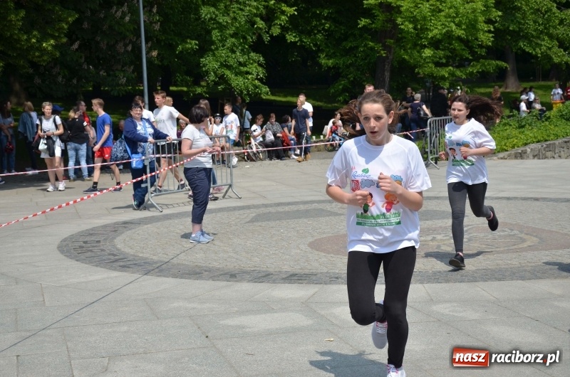 Zdjęcie w galerii na portalu naszraciborz.pl: XIII Raciborski Bieg Profilaktyczny [FOTO i WIDEO] wiadomości z regionu