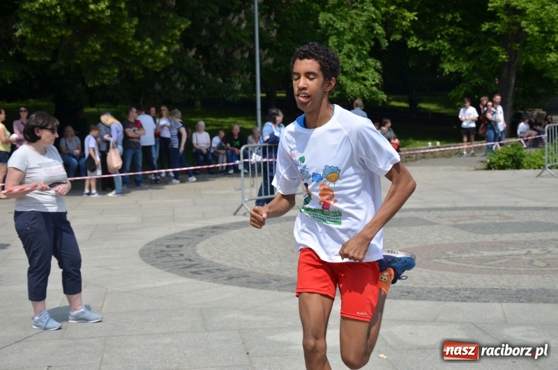 Zdjęcie w galerii na portalu naszraciborz.pl: XIII Raciborski Bieg Profilaktyczny [FOTO i WIDEO] wiadomości z regionu