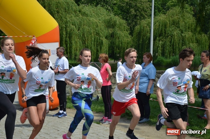 Zdjęcie w galerii na portalu naszraciborz.pl: XIII Raciborski Bieg Profilaktyczny [FOTO i WIDEO] wiadomości z regionu