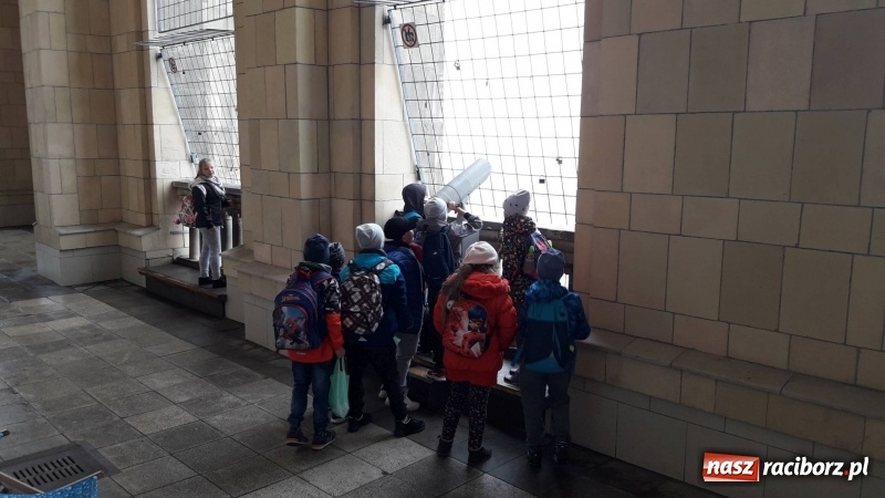 Zdjęcie w galerii na portalu naszraciborz.pl: Na deszczową pogodę najlepsza stolica  wiadomości z regionu