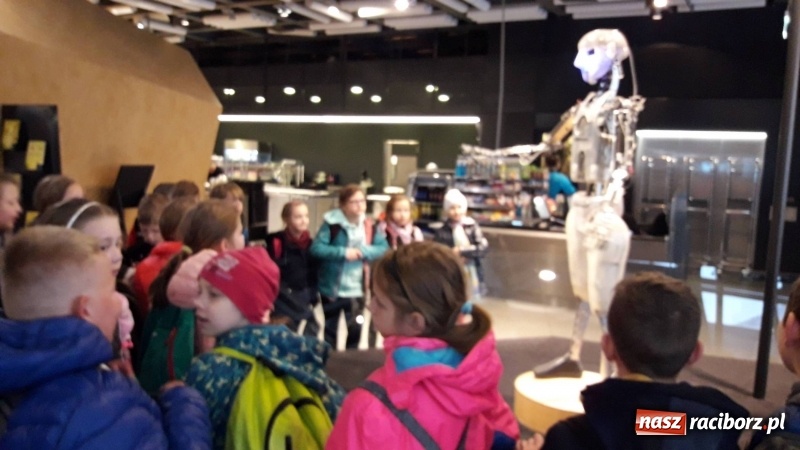 Zdjęcie w galerii na portalu naszraciborz.pl: Na deszczową pogodę najlepsza stolica  wiadomości z regionu