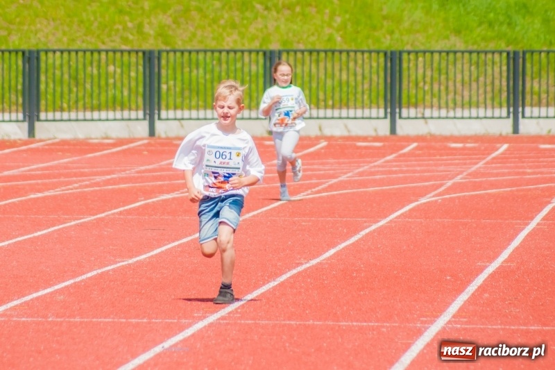 Zdjęcie w galerii na portalu naszraciborz.pl: IV raciborski Bieg Bez Barier za nami [FOTO] wiadomości z regionu