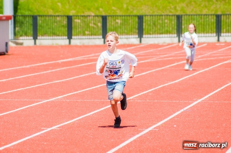 Zdjęcie w galerii na portalu naszraciborz.pl: IV raciborski Bieg Bez Barier za nami [FOTO] wiadomości z regionu
