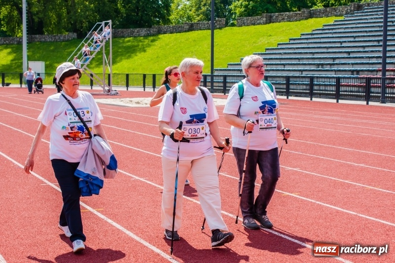 Zdjęcie w galerii na portalu naszraciborz.pl: IV raciborski Bieg Bez Barier za nami [FOTO] wiadomości z regionu