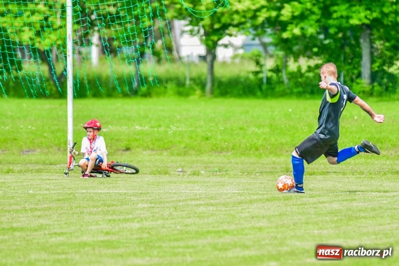 Zdjęcie w galerii na portalu naszraciborz.pl: Mistrzostwa Polski niesłyszących w piłce nożnej siedmioosobowej w Raciborzu wiadomości z regionu
