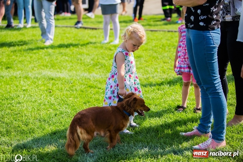 Zdjęcie w galerii na portalu naszraciborz.pl: Trzy razy Krzanowice. Gminne zawody sportowo-pożarnicze w Pietraszynie [FOTO i WIDEO] wiadomości z regionu