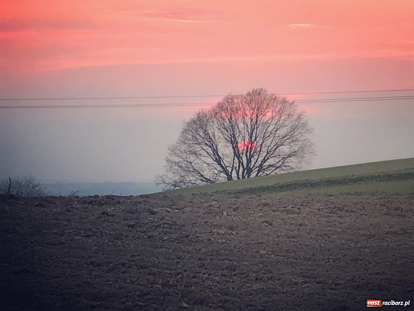 Zdjęcie w galerii na portalu naszraciborz.pl: W Raciborzu będzie nowa ulica z pięknymi widokami wiadomości z regionu