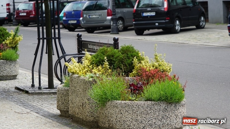 Zdjęcie w galerii na portalu naszraciborz.pl: W ratuszu policzyli kwiatki na ulicach [FOTO] wiadomości z regionu